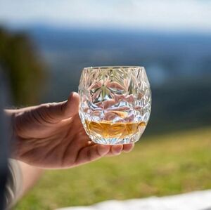 Diamond Acrylic Wine Glasses